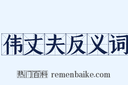 伟丈夫反义词是什么意思的图片